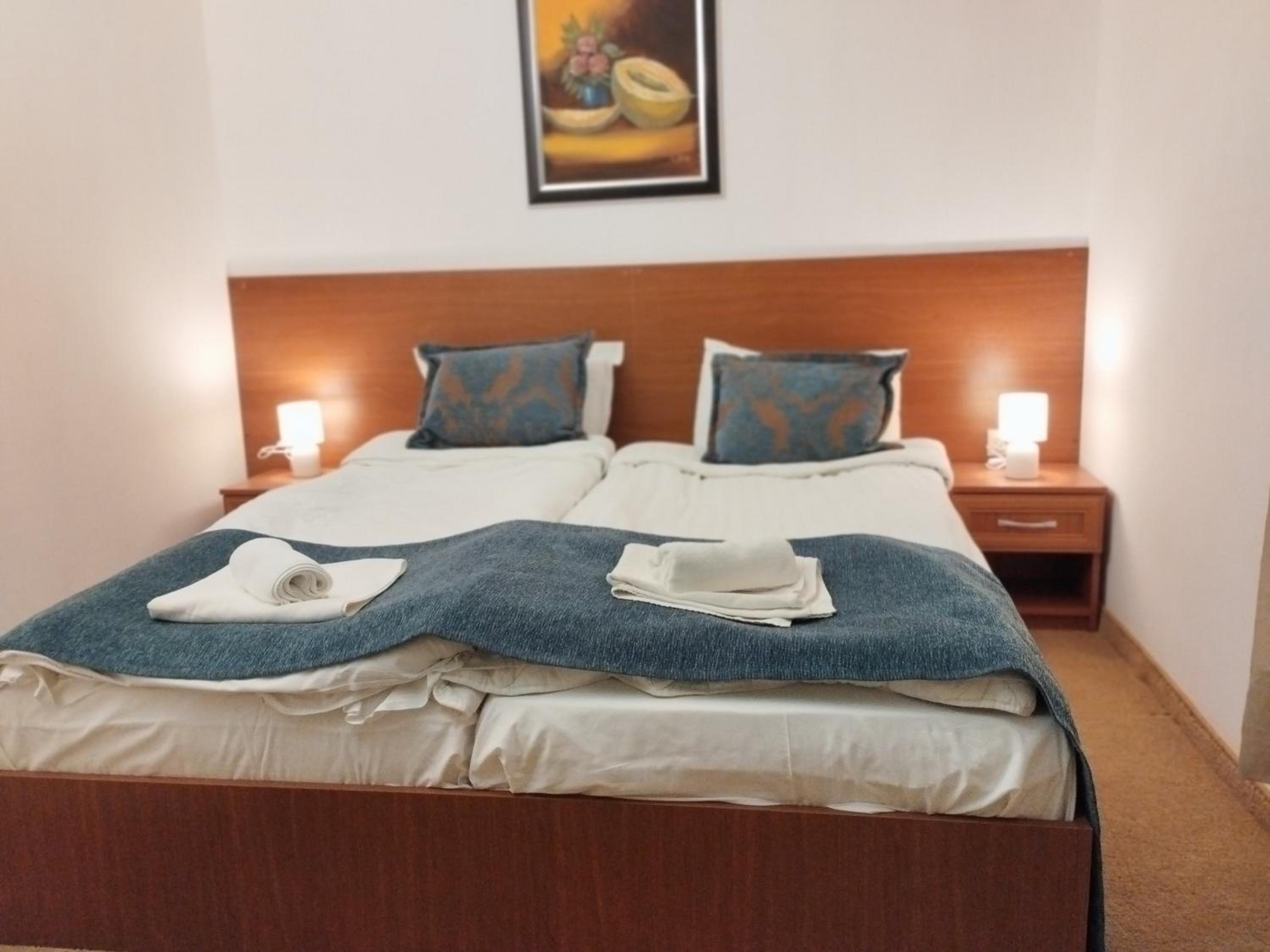 Bansko Vacations - private apartments Emerald - Property Image 21