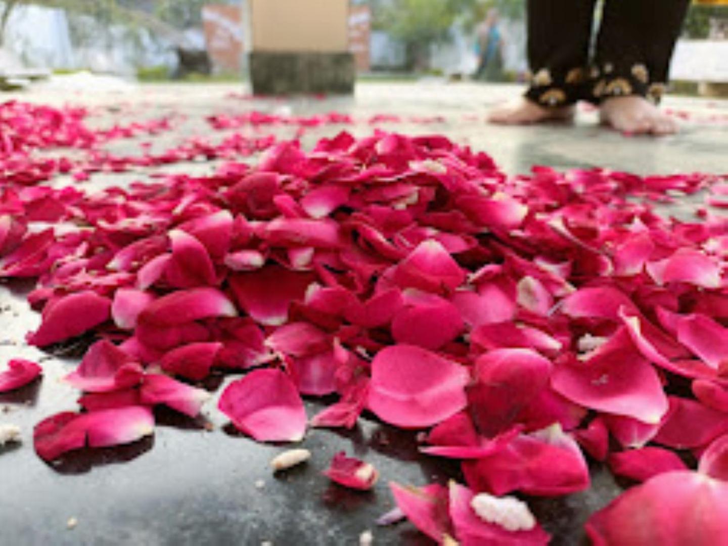 Kalpana guest house , Bareilly view 5