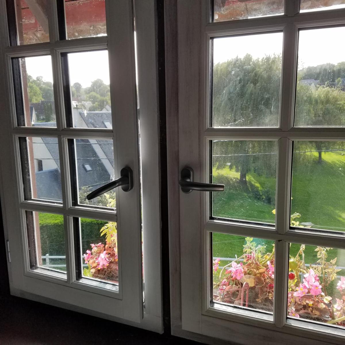 Le vieux pré de la motte