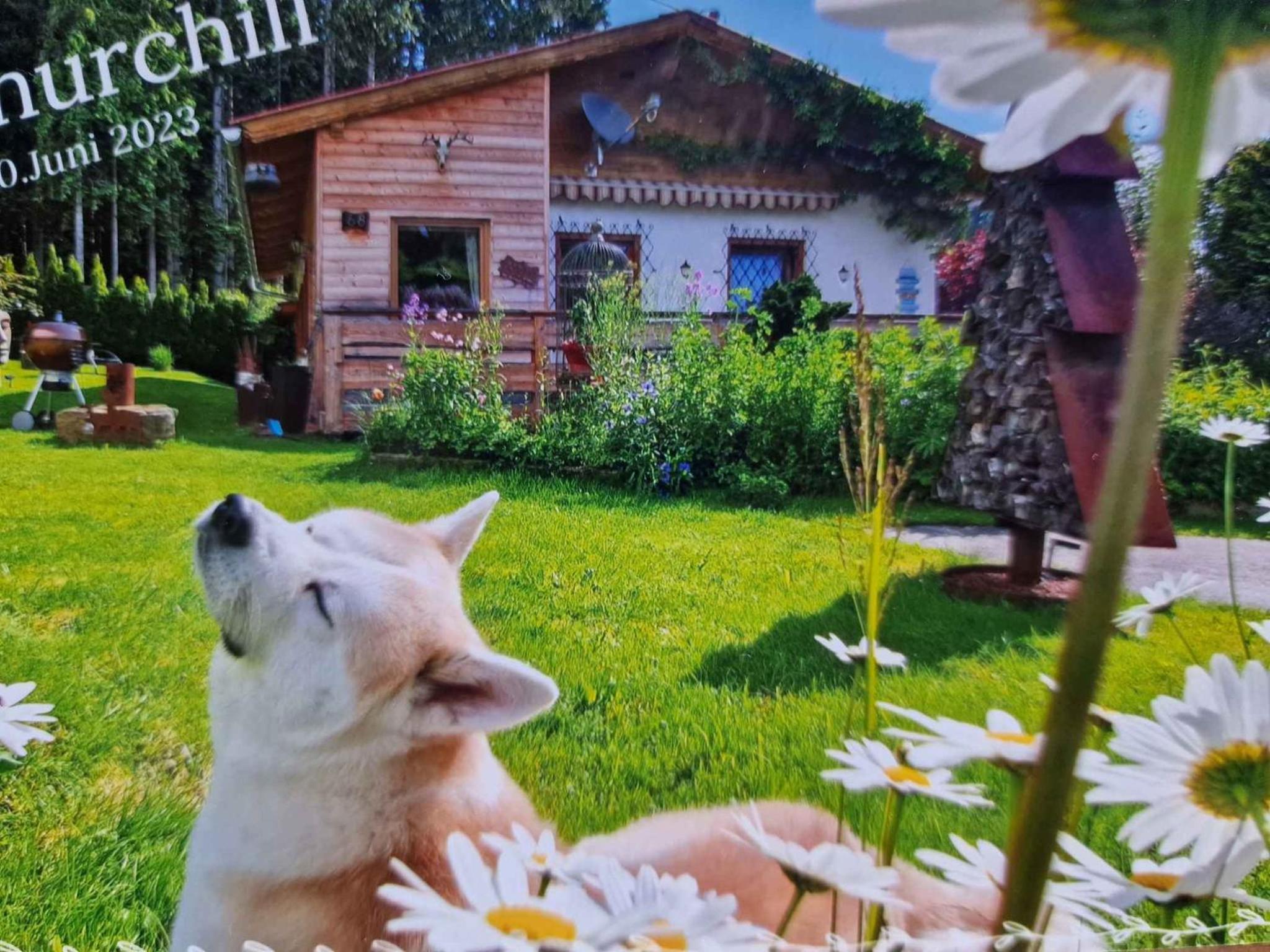 Holiday home in St Michael Lavanttal 39497