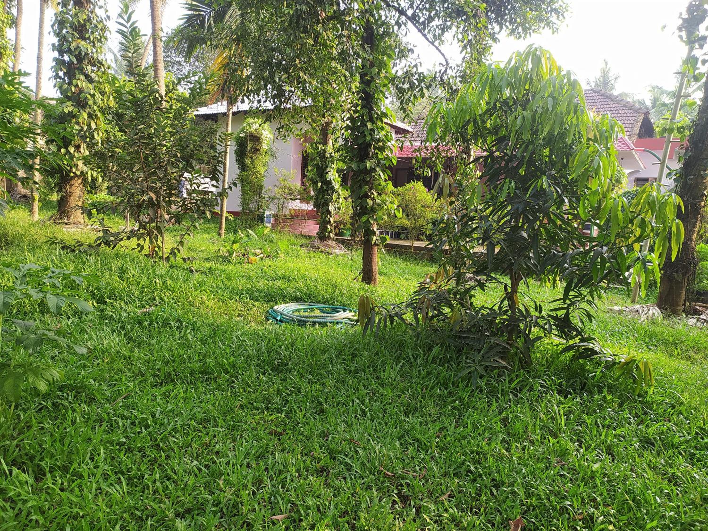 Photo 49