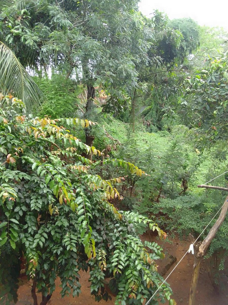 Hotel Mithila City Home Stay - Image 1