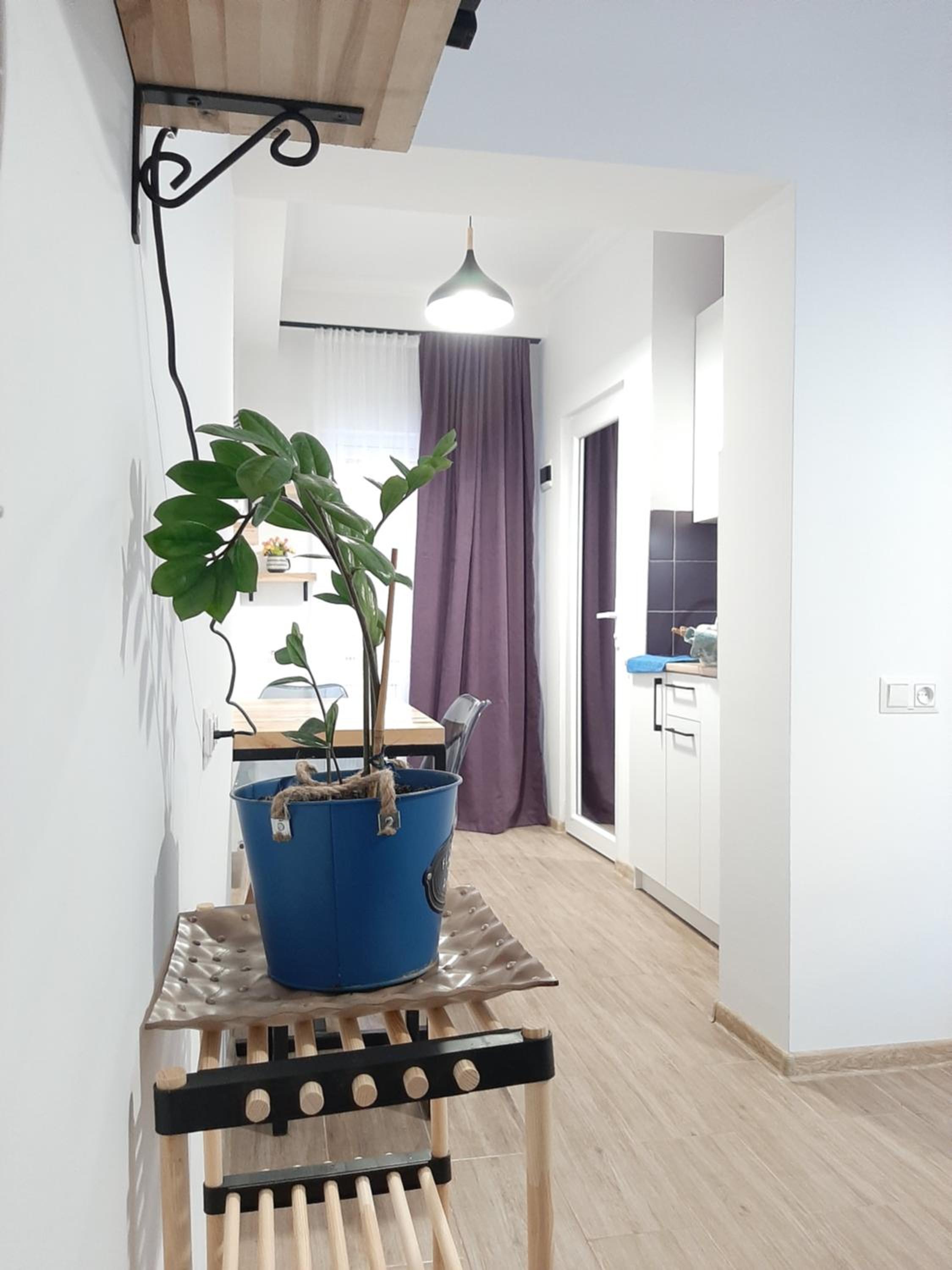 Style Apartment with Courtyard