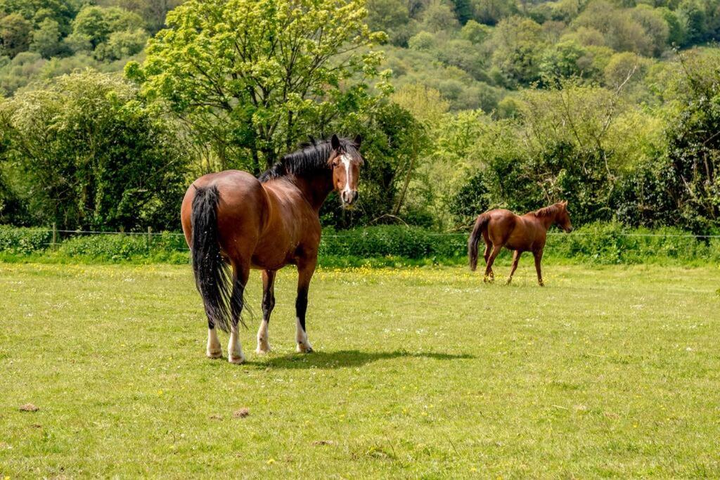 Holgates Cottage Countryside Retreat