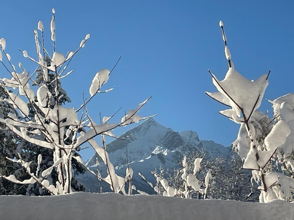 Alpine Garden Suite