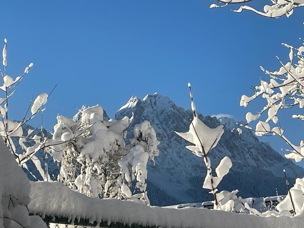 Alpine Garden Suite
