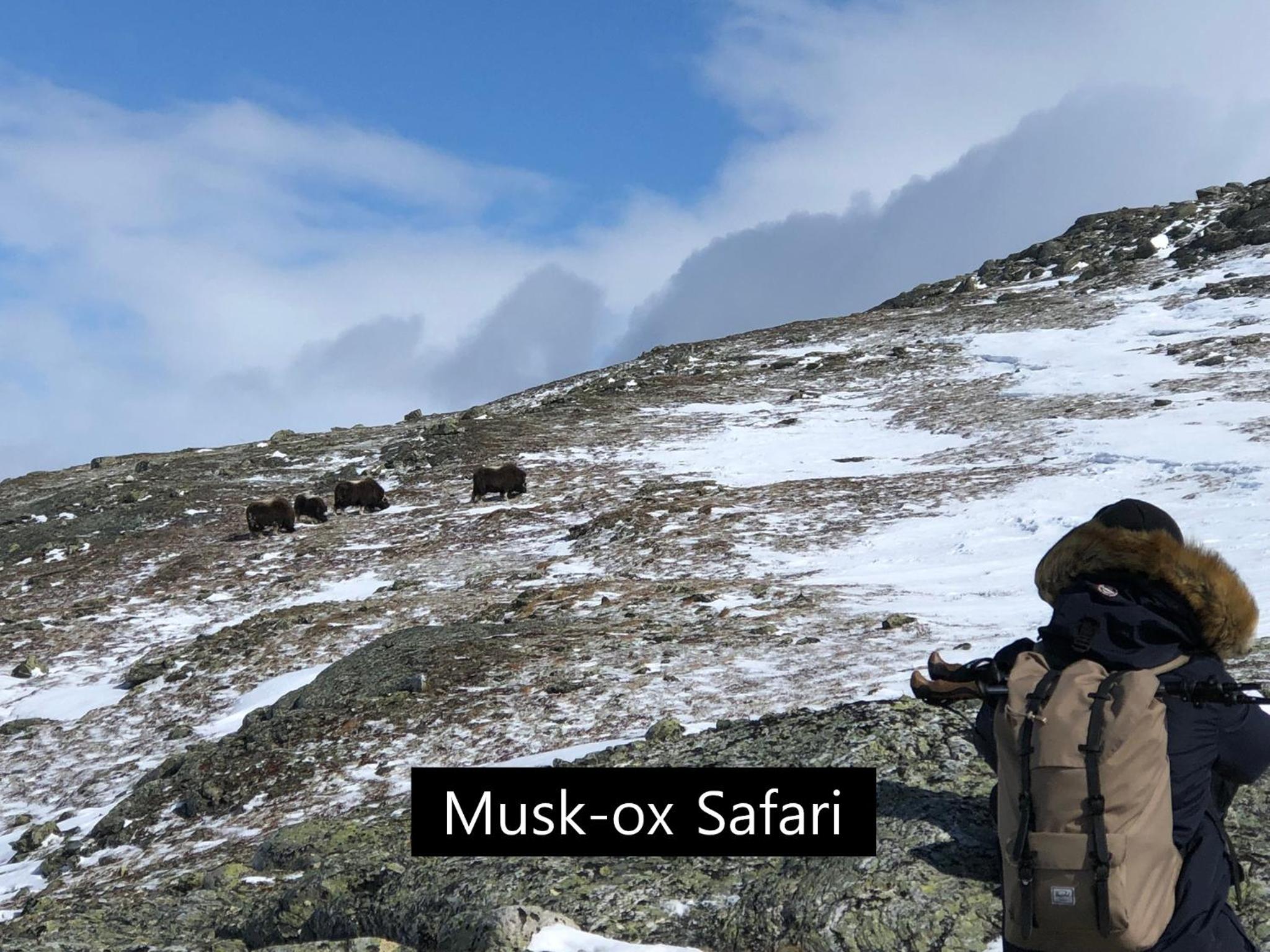 Dovregubbens Hall