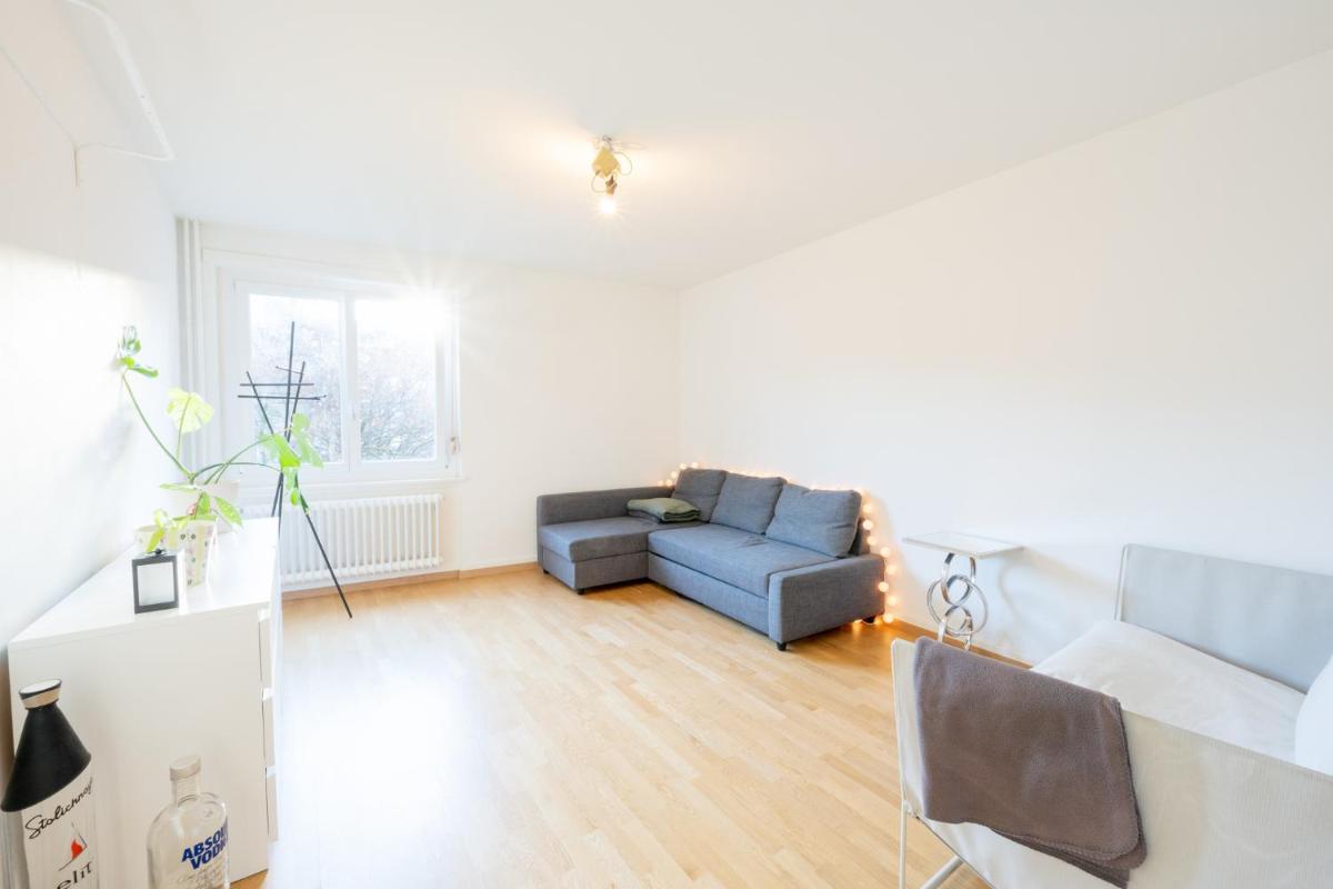 Loving apartment right in the heart of Zurich!