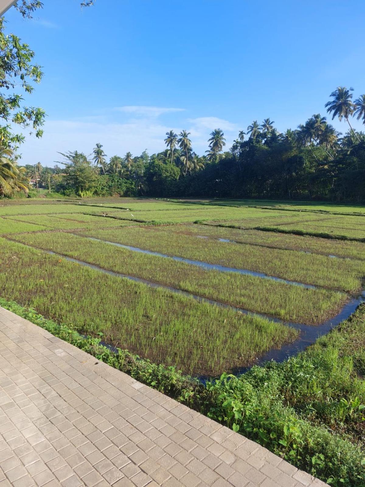 The Villa Green Grand view 4