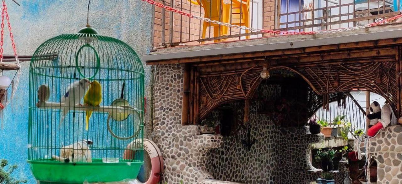 Oasis of calm in Batumi