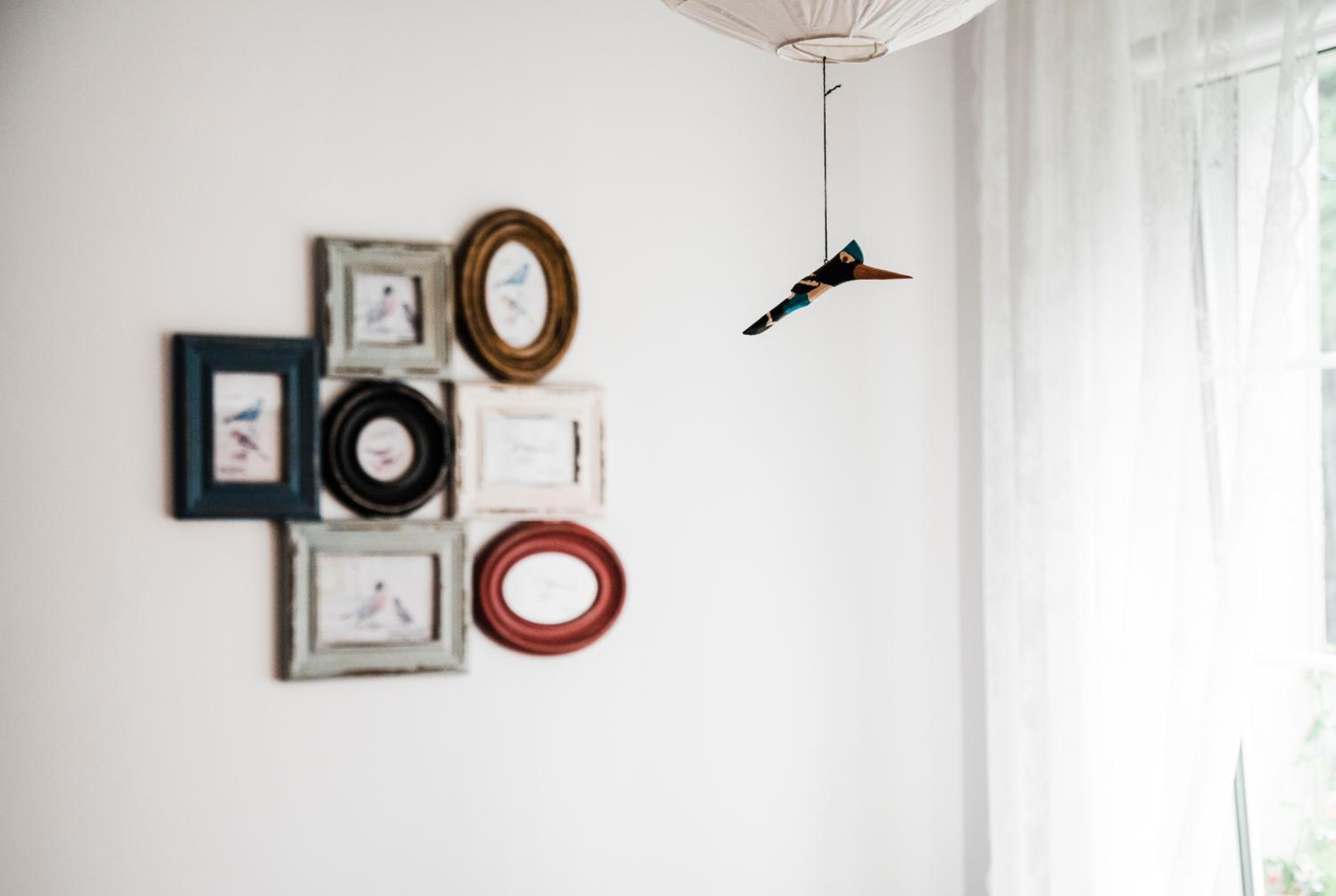 Leśne Apartamenty