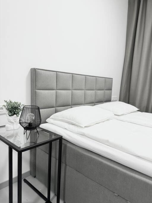 NEW Modern Large Apartment in New Town 3BDR
