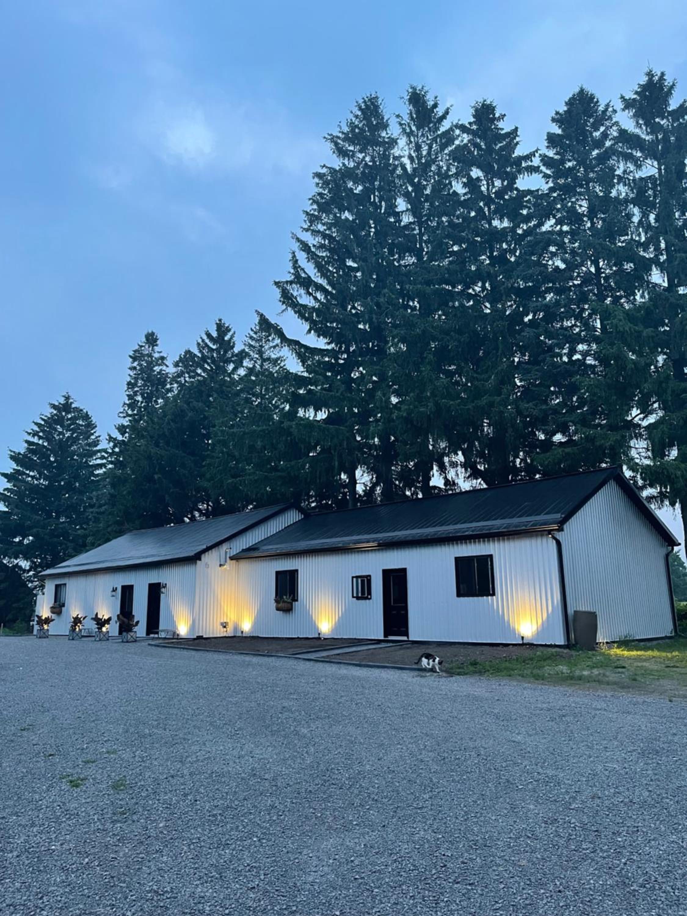 The Barns of Brighton Near Prince Edward County