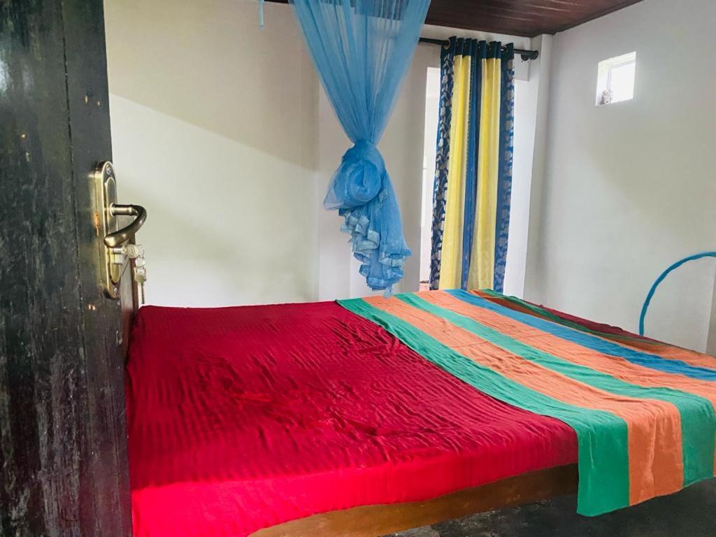 Mangroves homestay