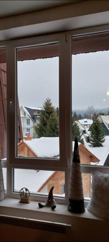 Apartman Jovanovic,Kopaonik view 3