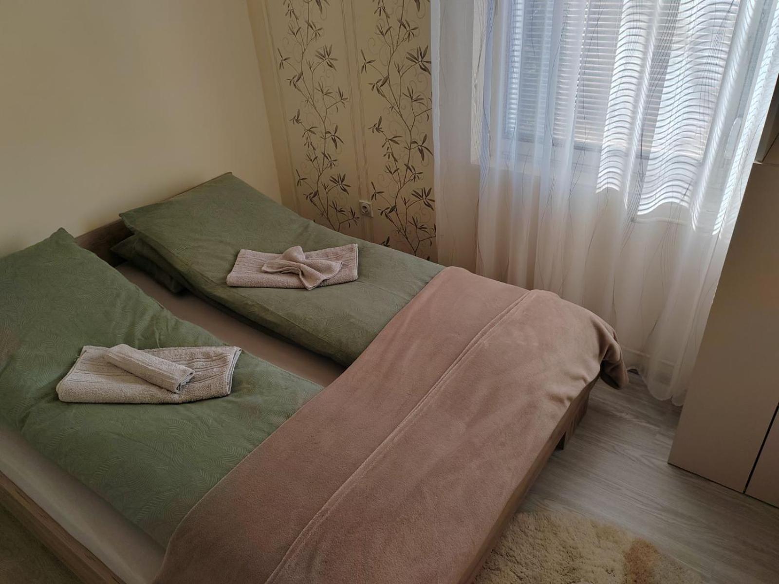 Apartman Stanimirović 3 view 4