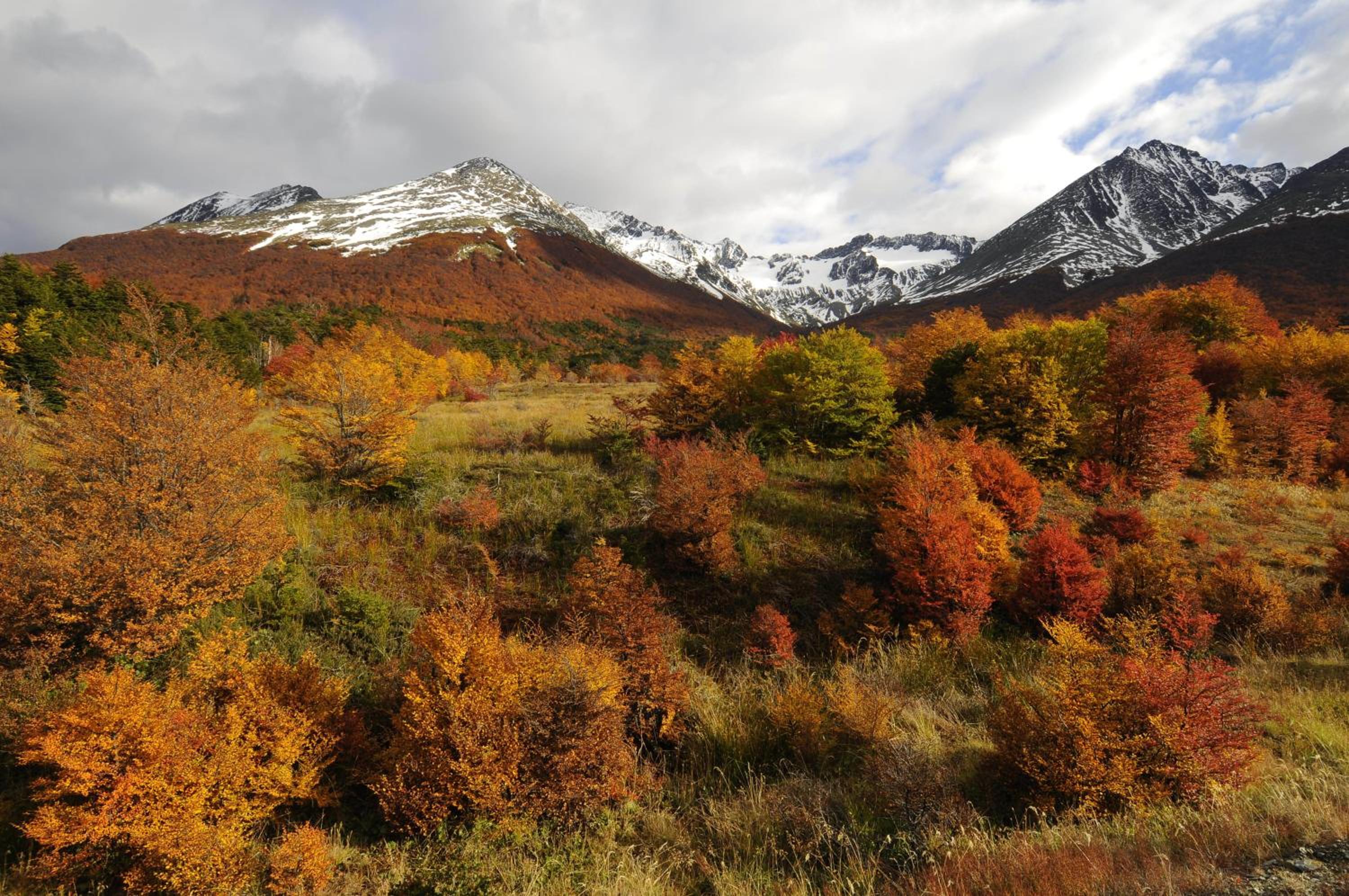 Cumbres Del Martial
