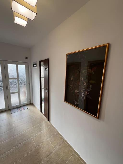 Casa Albert Dorobant