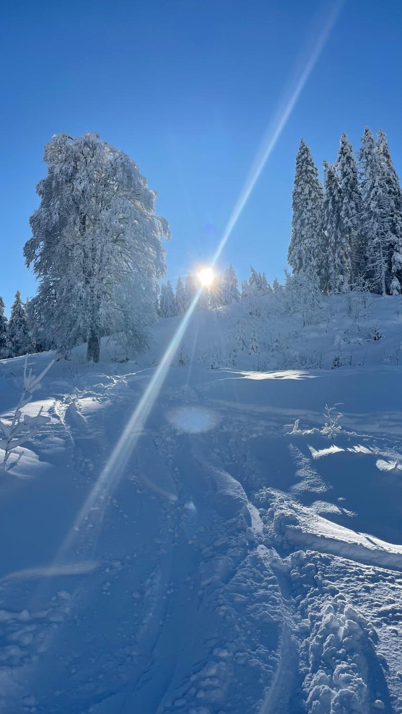 kleineauszeit3, Feldberg, direkt an Skipiste, mit Sauna