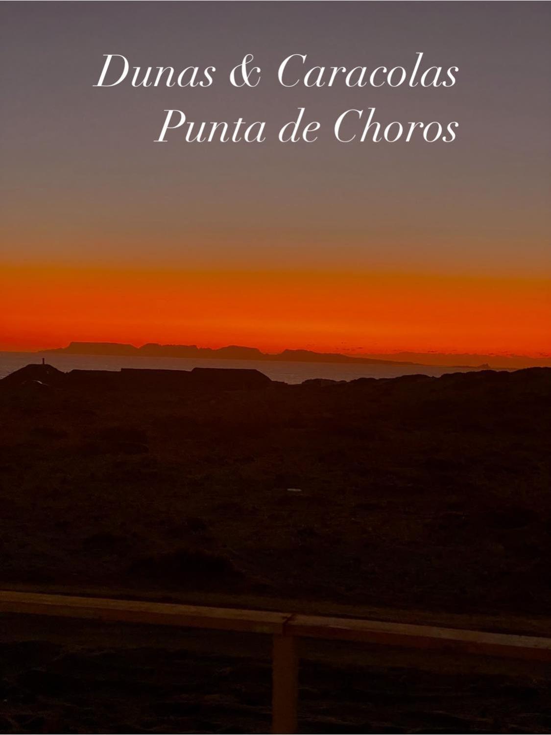 Entre Dunas y Caracolas