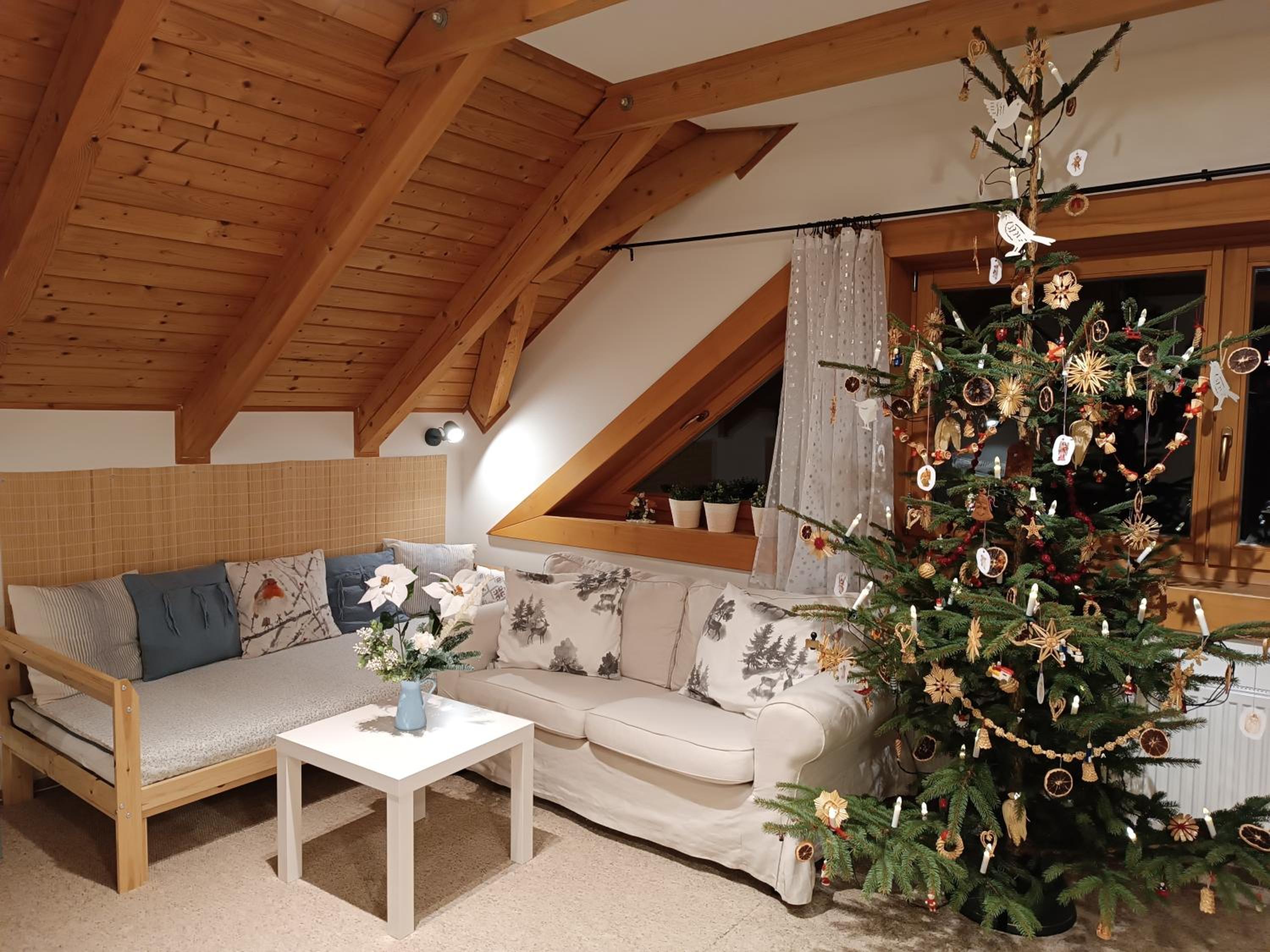 Srub Javorná - apartmány Šumava view 5