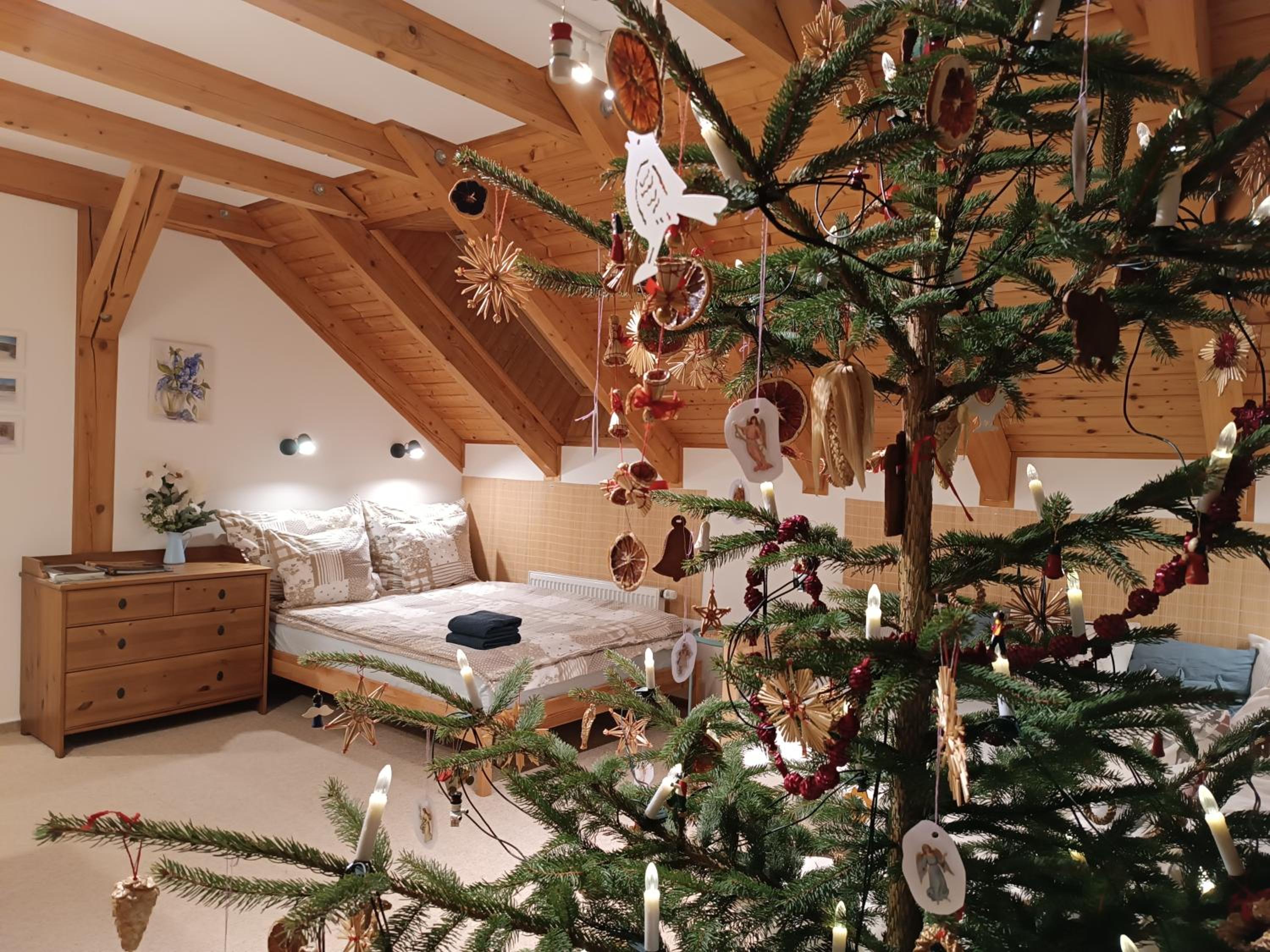 Srub Javorná - apartmány Šumava view 2