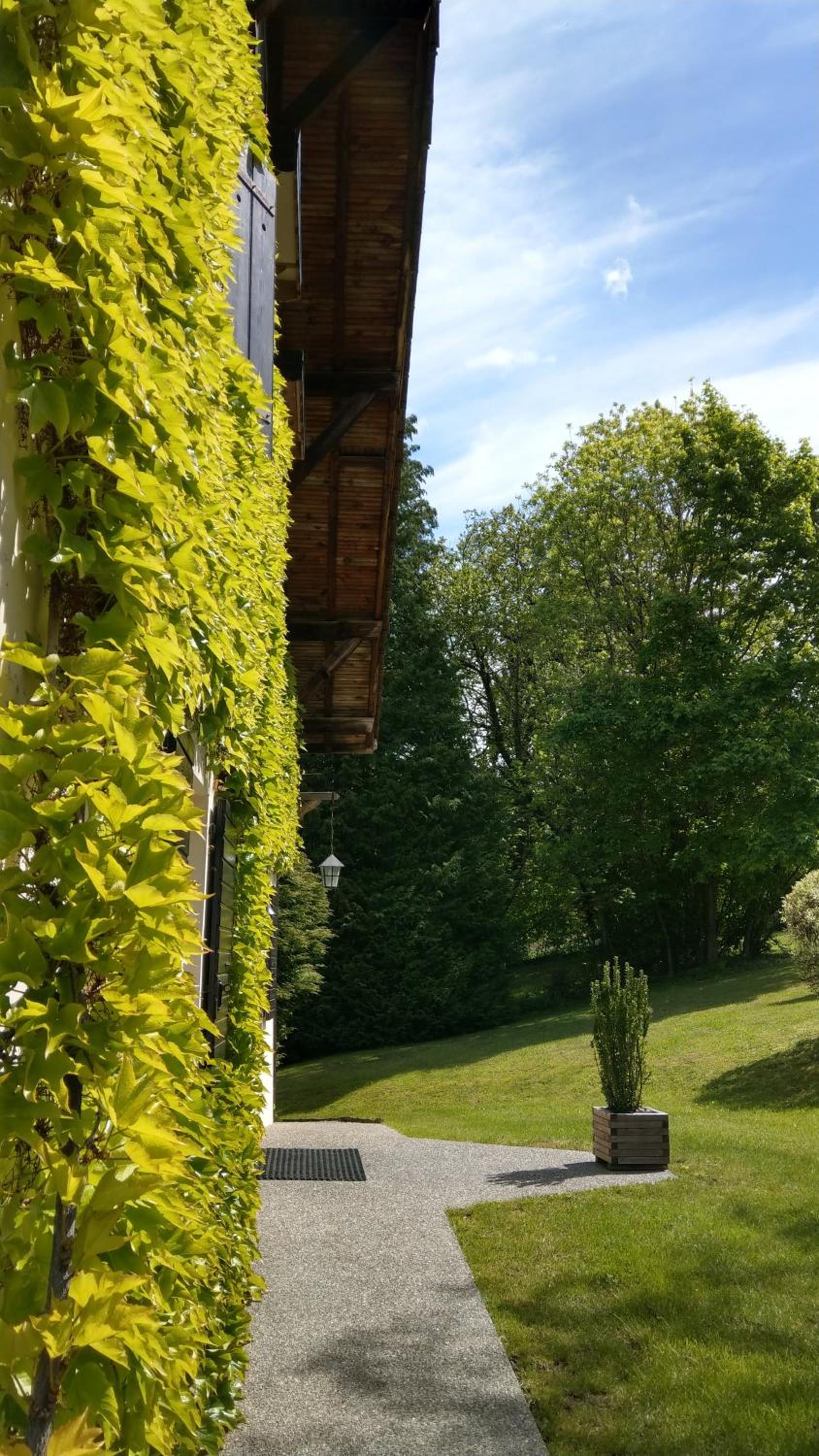 Domaine de l'Olifant
