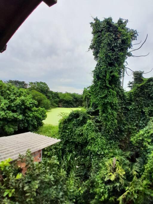 Linda Casa Aconhegante