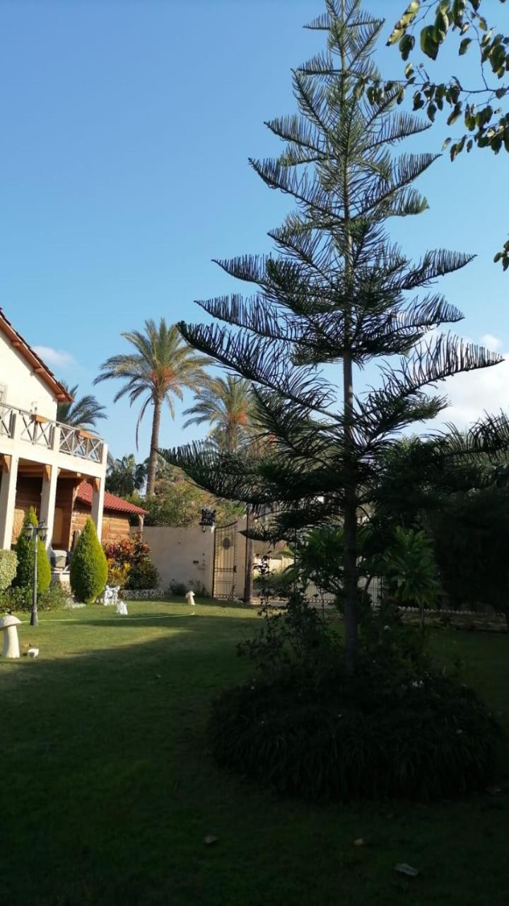 Jasmin Holiday House
