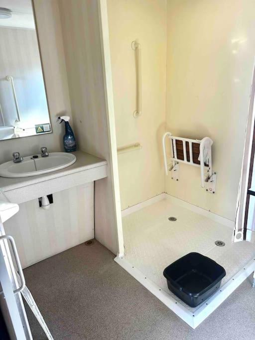 Withernsea Sands - Disabled friendly (maple grove) view 5