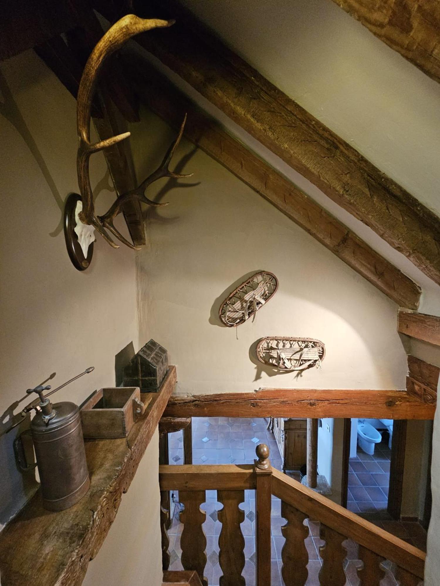 IMEDA CASA LOS PINOS