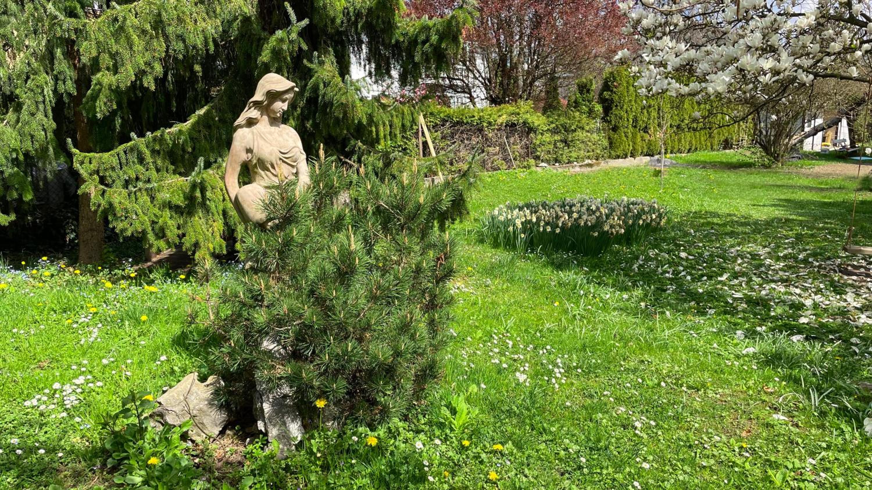 Photo 27