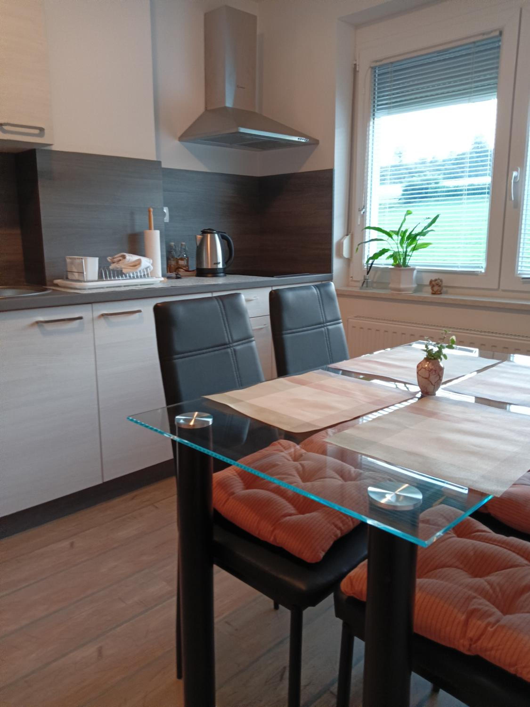 Apartment Dalija & Rooms - Wellness & Massage Studio view 4