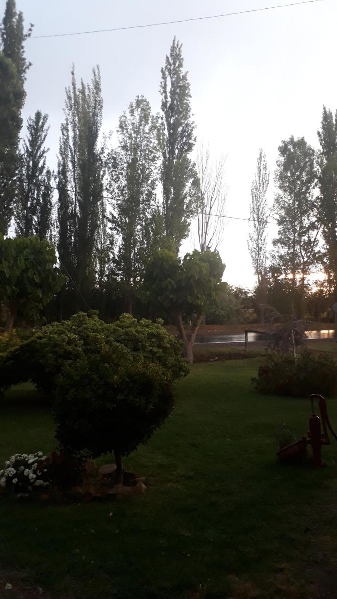 Los Abuelos