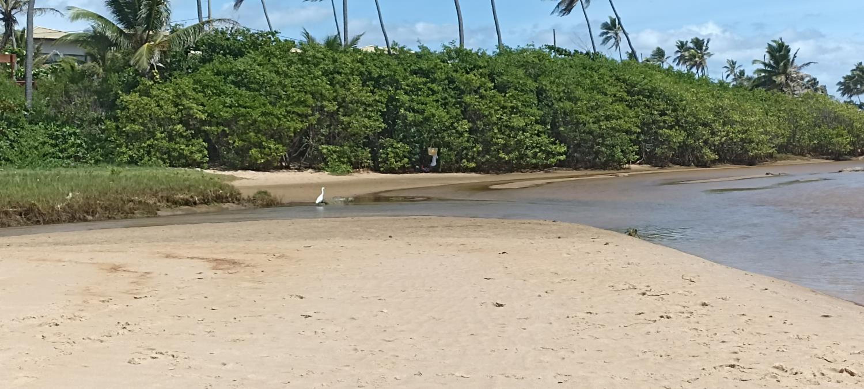Aconchego da Jandaia