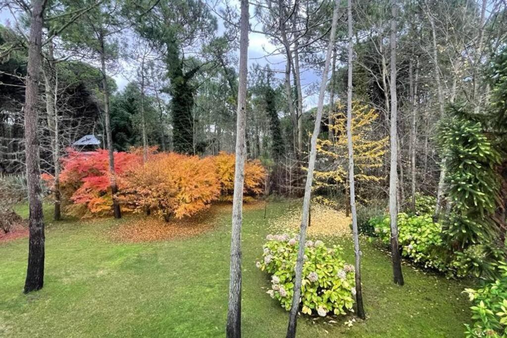 Increíble casa 5 estrellas en Cariló. Full equiped