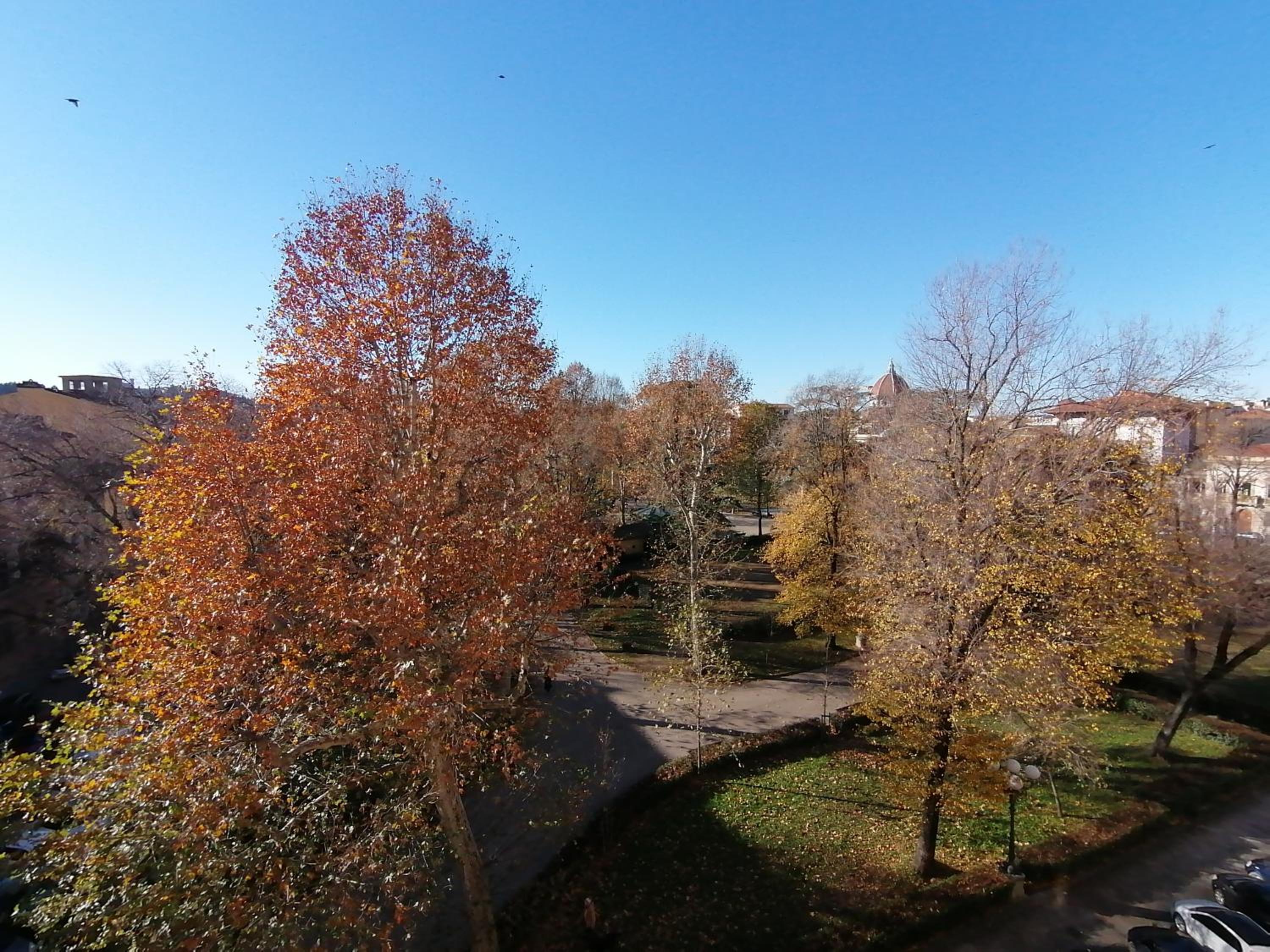 Lusso con vista sul parco-Bracco Florence Green view