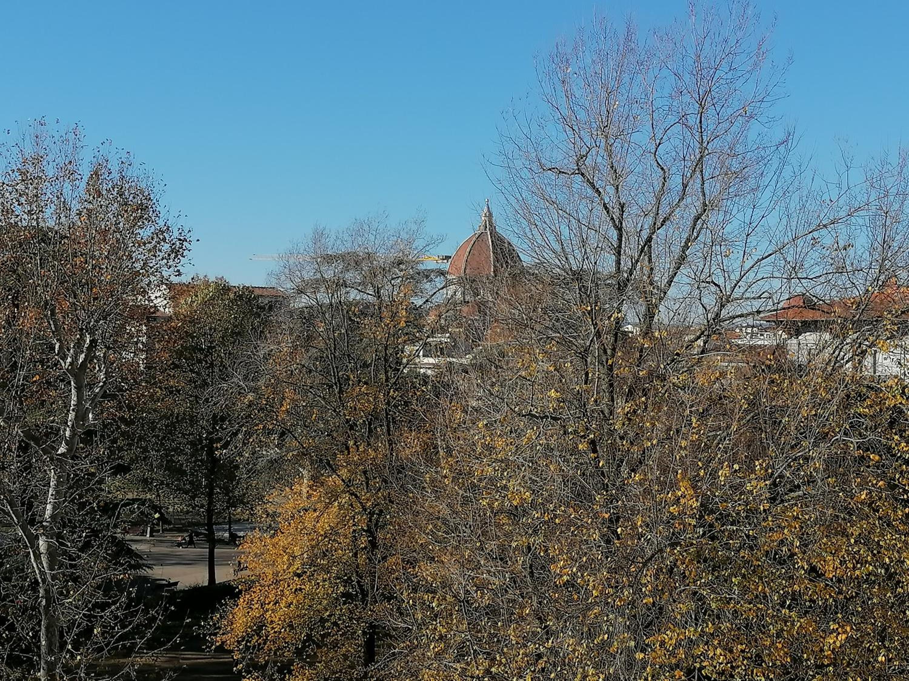 Lusso con vista sul parco-Bracco Florence Green view