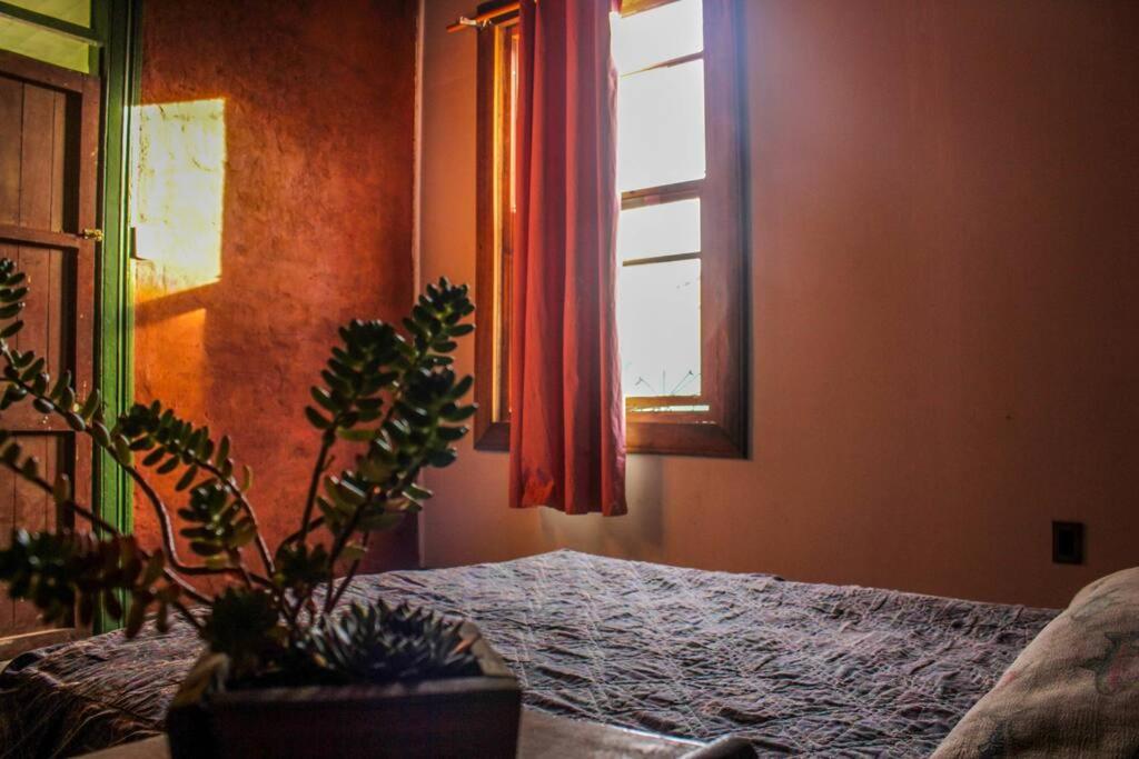 departamento apiesdelcerro