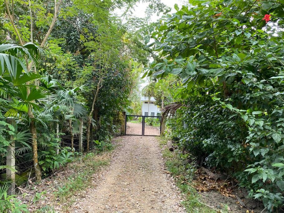 Palm House Getaway-150 m to sea