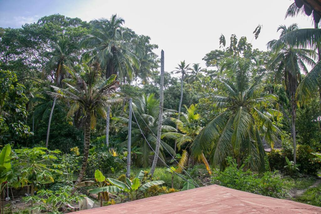 Palm House Getaway-150 m to sea