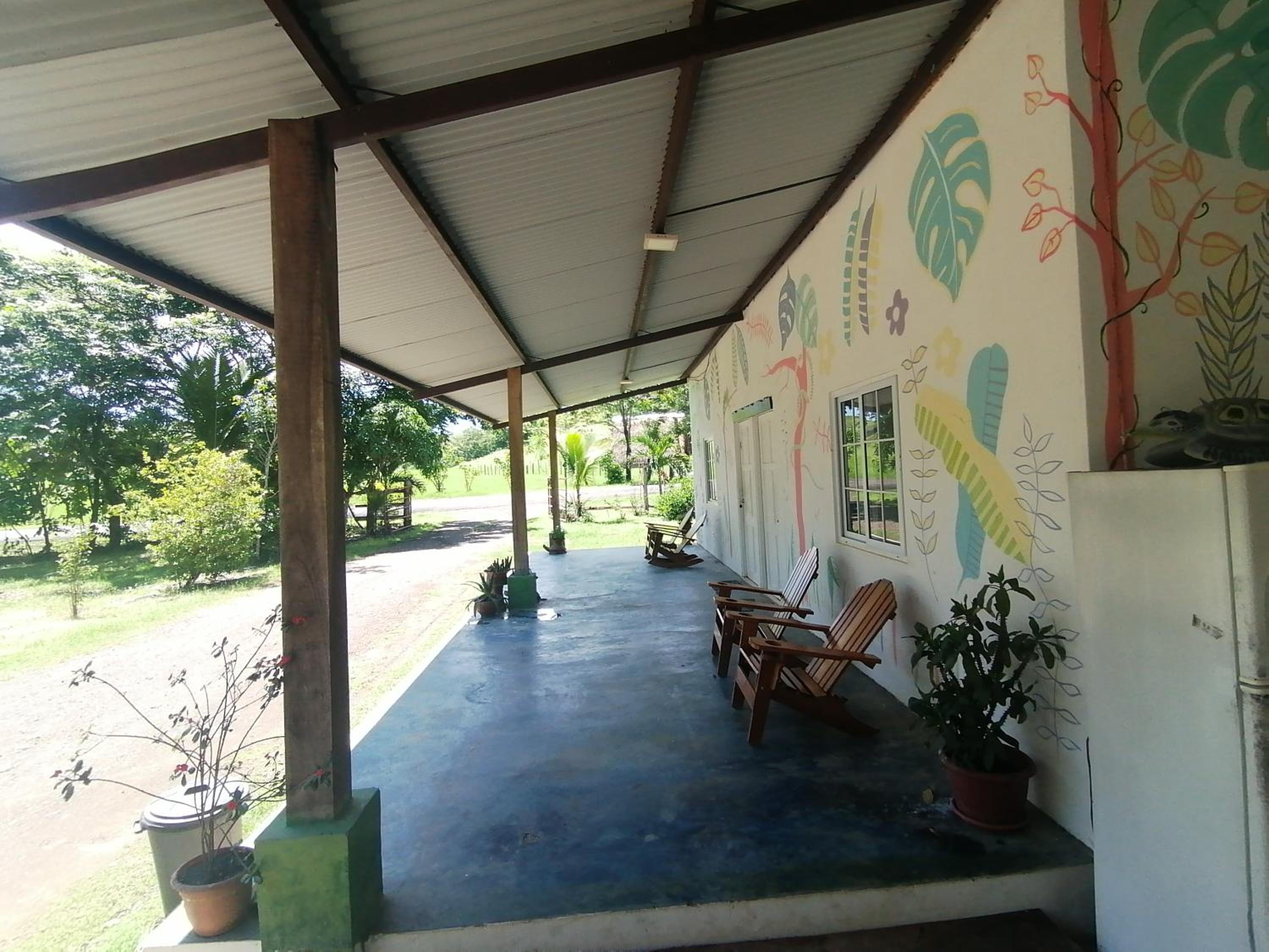 Tortuga Hostal