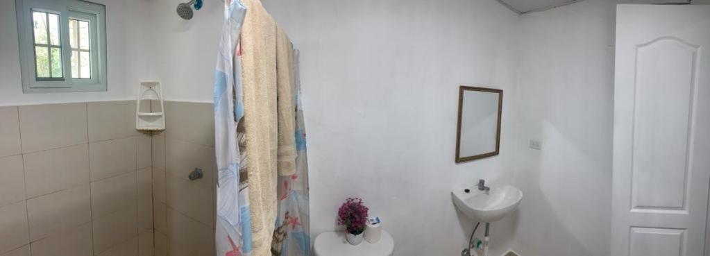 Tortuga Hostal