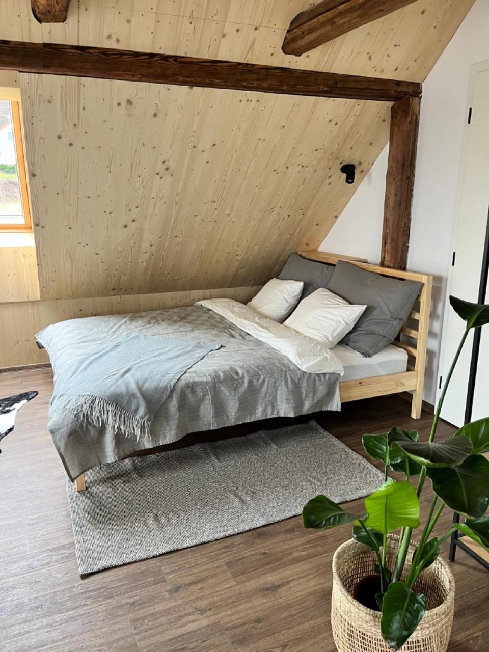Sáňky Apartmány