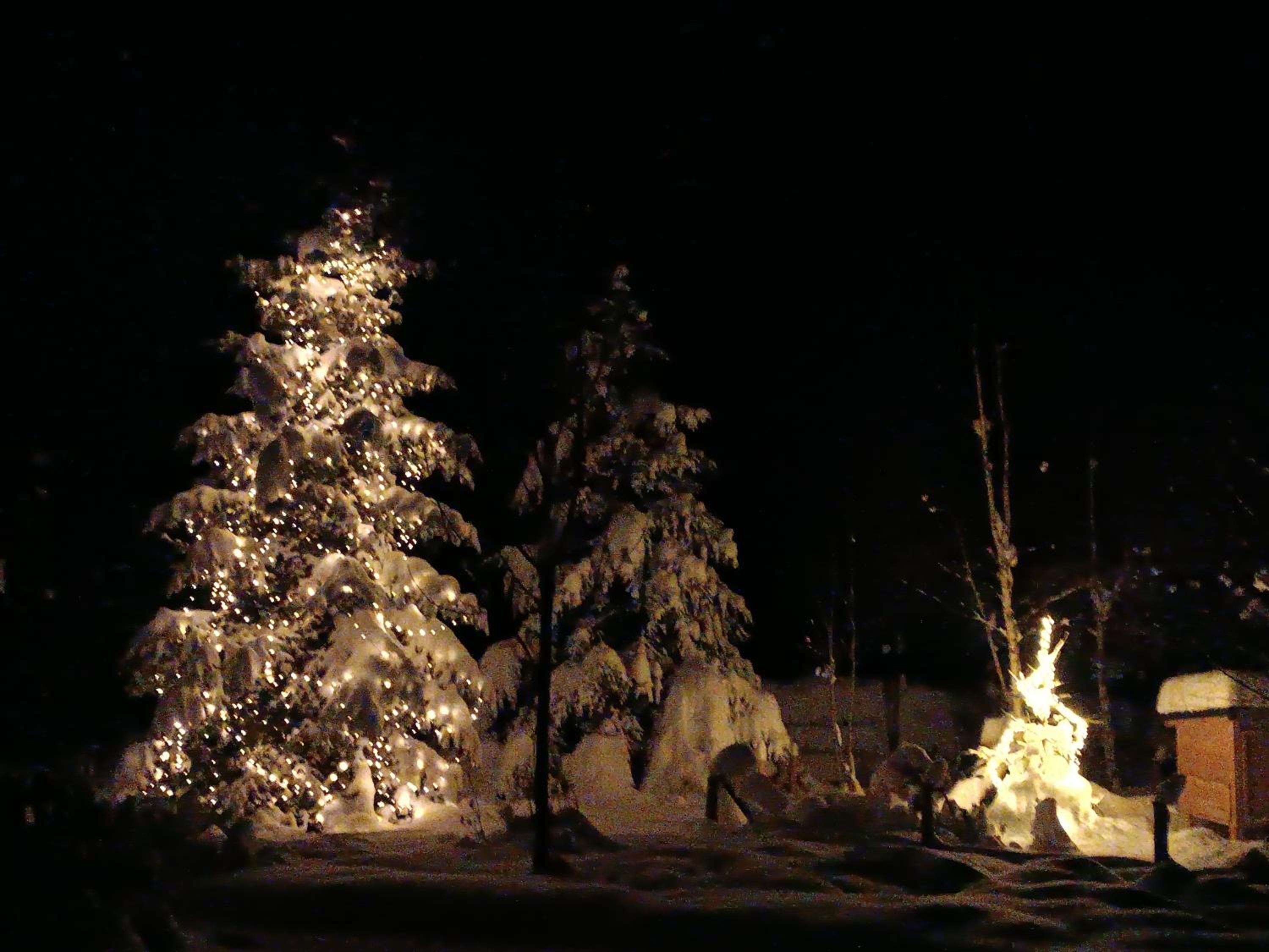 Photo 7