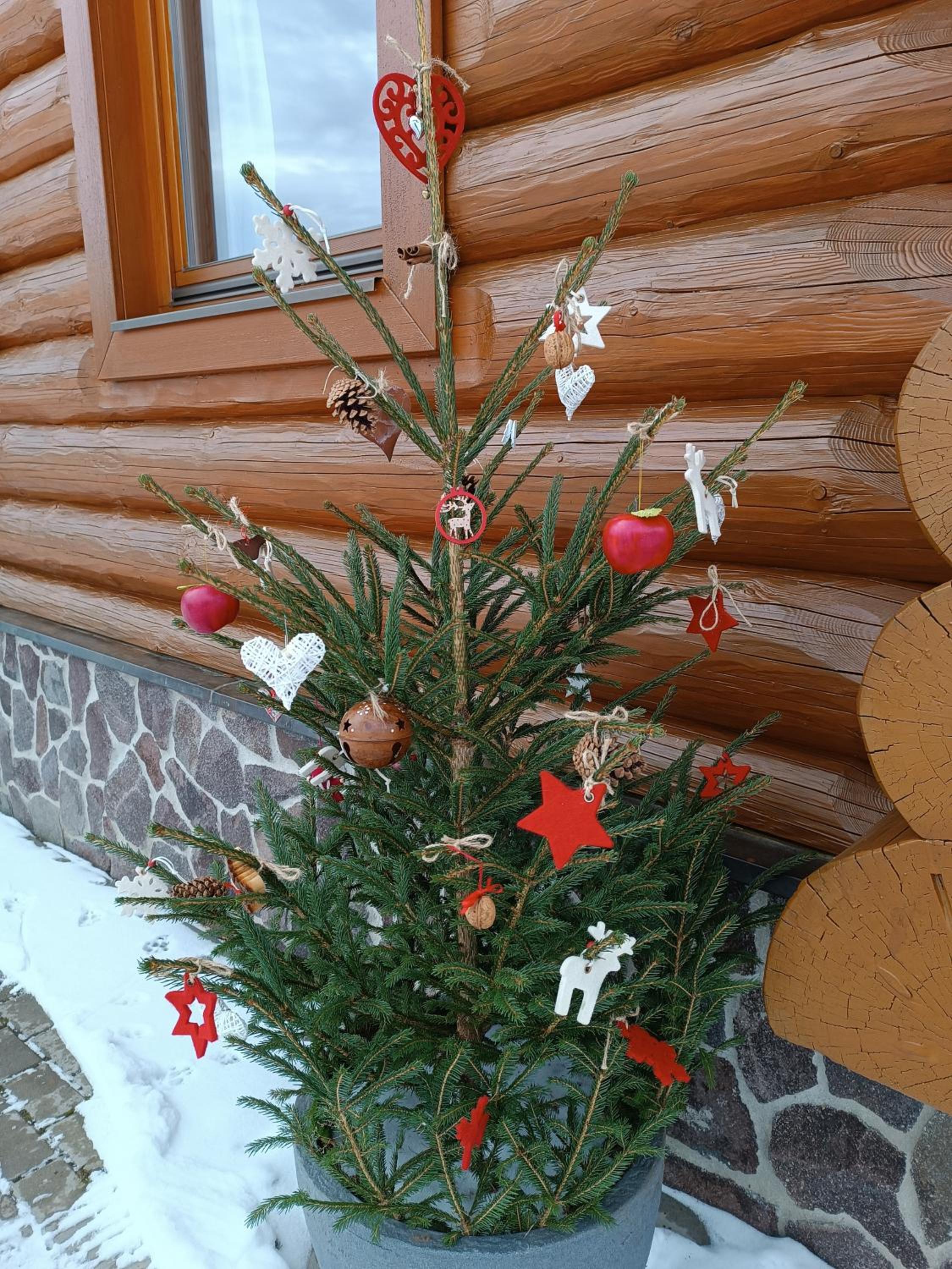 Photo 11