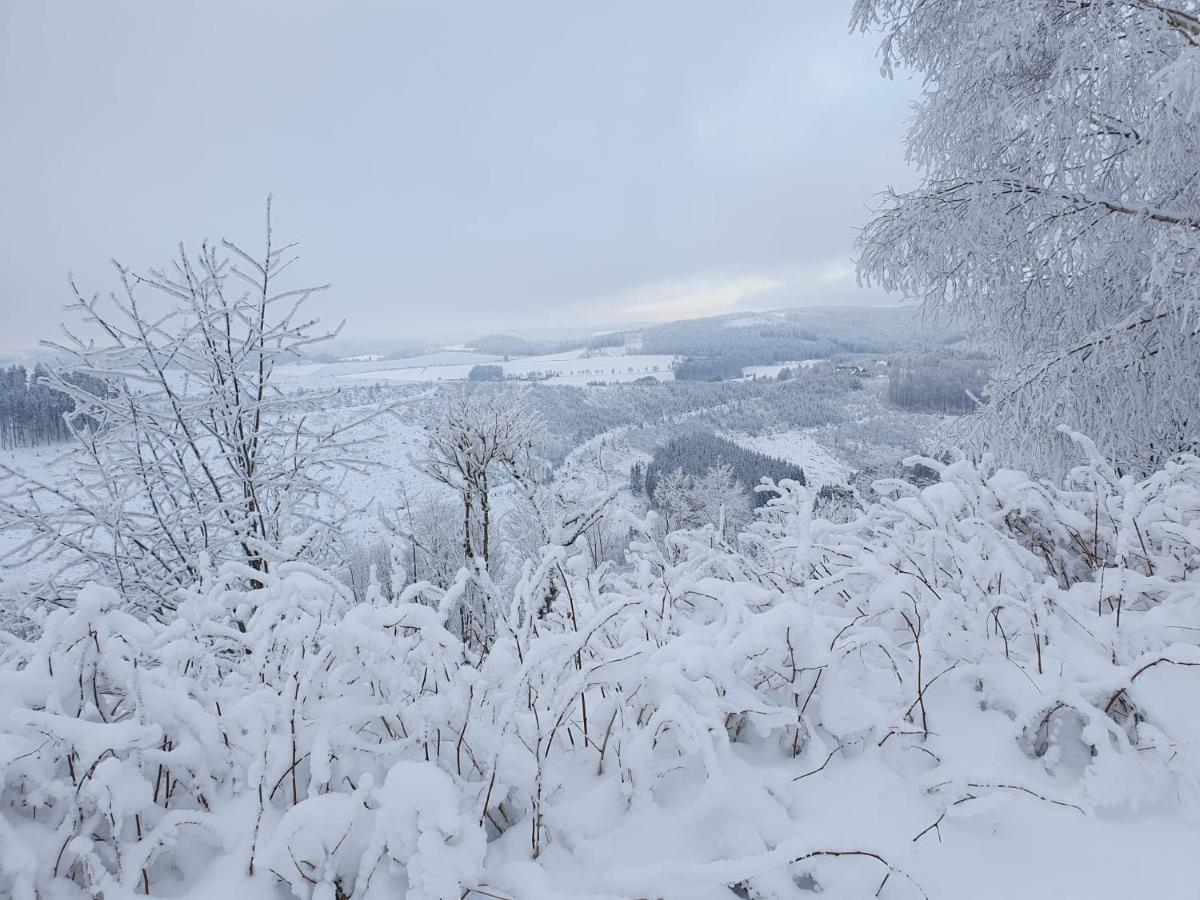 Pension Hubertus view 2