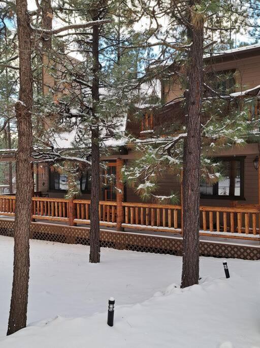 Tranquil Getaway in the Pines! w/Fire Pit & Grill! view 3