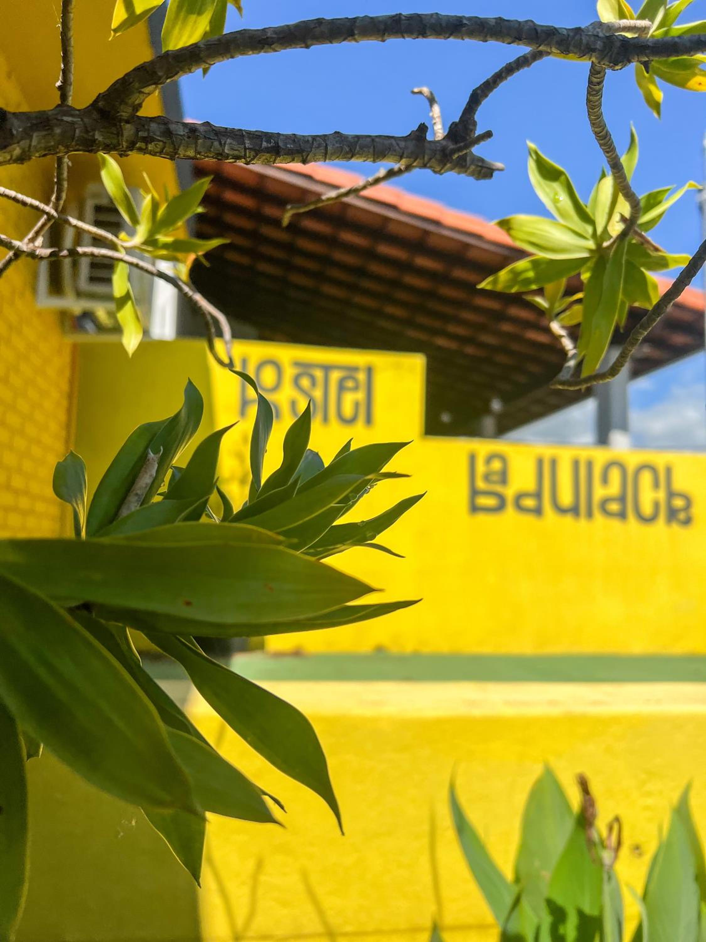 HOSTEL BADULACK view 4