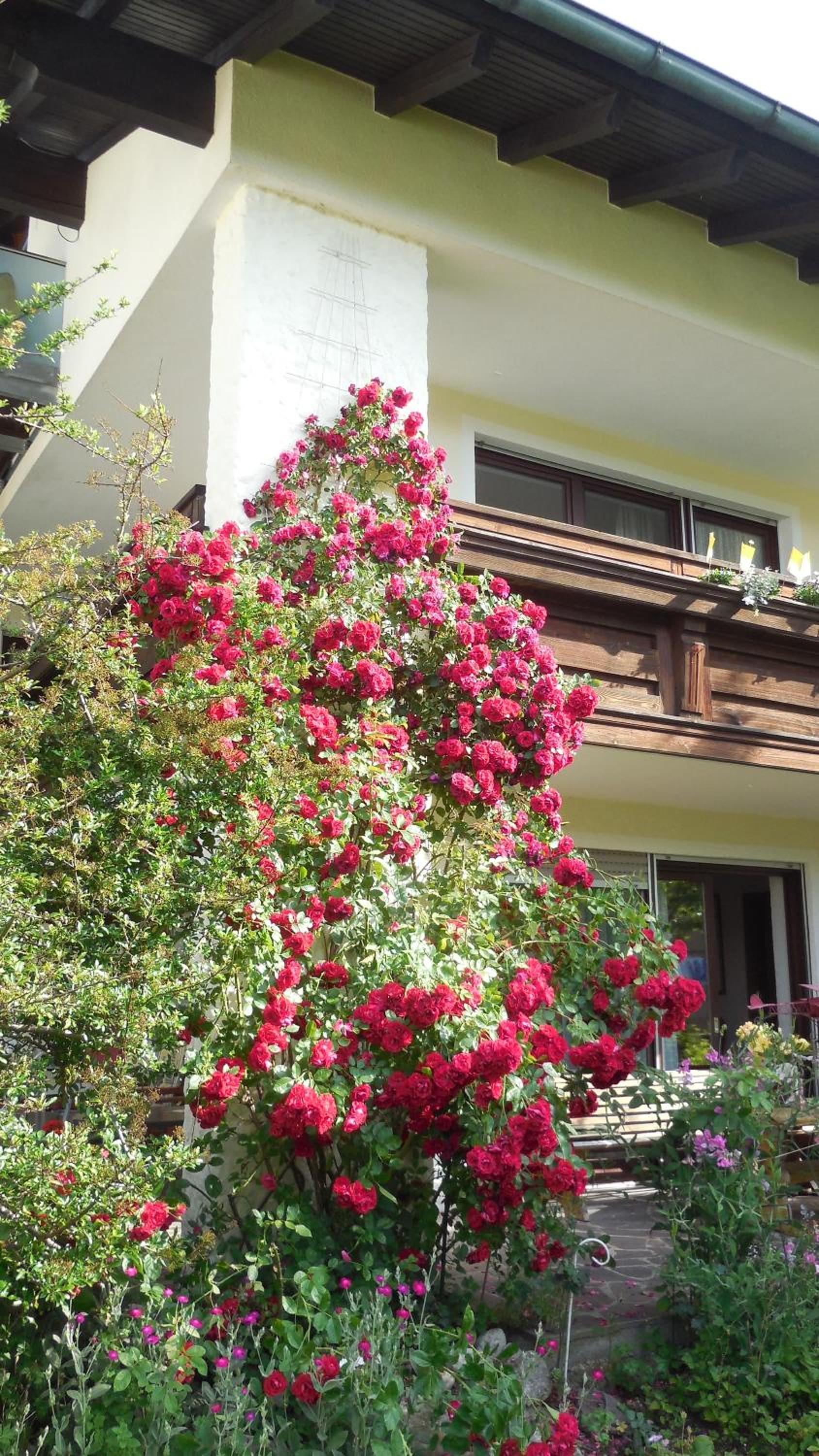 Haus Aigner